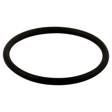 Click here to see Delta RP23336 Delta RP23336 Delta Large O-Ring - All Monitor Series