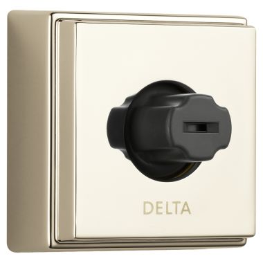 Click here to see Delta 50101-PN Delta 50101-PN H2Okinetic Body Jet, Polished Nickel