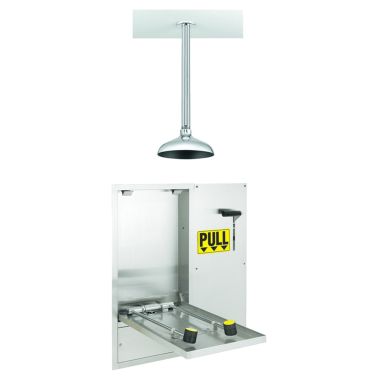 Click here to see Speakman SE-575-DP-238 SPEAKMAN SE-575-DP-238 LABORATORY EYE/FACE WASH STATIONS STAINLESS STEEL