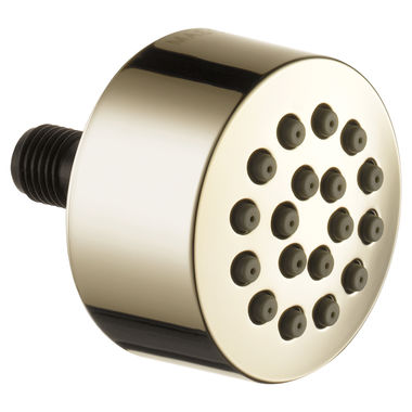 Click here to see Delta SH5000-PN Delta SH5000-PN HydraChoice Body Spray Head, Polished Nickel