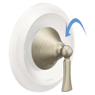 Click here to see Moen 175376BN Moen 175376BN Brushed Nickel Handle Kit