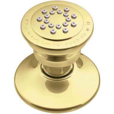 Click here to see Moen A501P Moen A501P Body Spray