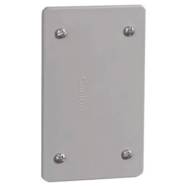 Click here to see Carlon E980CN-CAR Thomas & Betts E980CN-CAR Carlon Nonmetallic Vertical Cover