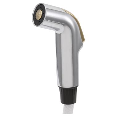 Click here to see Delta RP28900CB Delta RP28900CB Delta Spray and Hose Assembly (Chrome and Polished Brass)