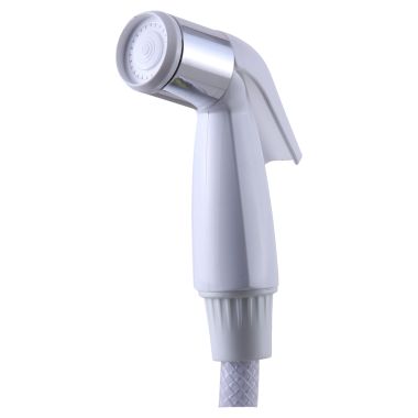 Click here to see Delta RP39364 Delta RP39364 Delta White with Chrome Band Spray and Hose Assembly (White)