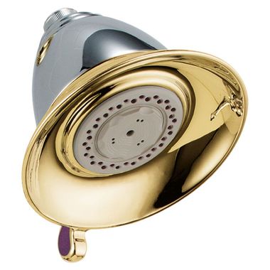 Click here to see Delta RP34355CB Delta Universal Showering Premium 3-Setting Wall-Mount Shower Head with Touch-Clean Holes, 2.5 GPM, Chrome/Polished Brass - RP34355CB