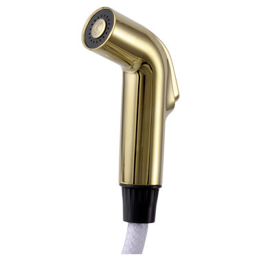 Click here to see Delta RP28900PB Delta RP28900PB Delta Spray and Hose Assembly (Brilliance Polished Brass)