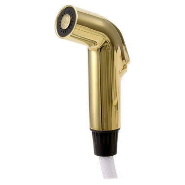 Click here to see Delta RP39345PB Delta RP39345PB Delta Spray and Hose Assembly (Brilliance Polished Brass)