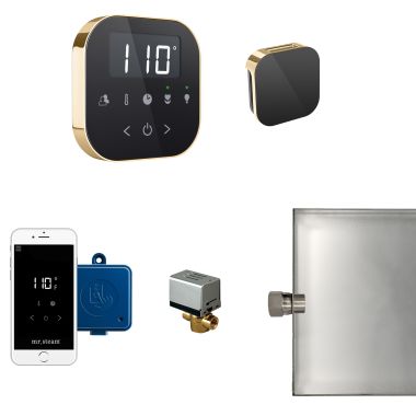 Click here to see Mr. Steam ABUTLER1B-PB Mr Steam AirButler Steam Generator Control Kit  Package in Black Polished Brass - ABUTLER1B-PB