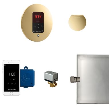 Click here to see Mr. Steam MSBUTLER1RD-PB Mr Steam Butler Steam Generator Control Kit  Package in Round Polished Brass - MSBUTLER1RD-PB