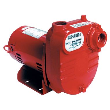 Click here to see Red Lion 621810 Red Lion Cast Iron Surface Effluent Pump with Built-In Check Valve, 1/2 HP, 21 PSI, Heavy-Duty Motor, 1-1/4