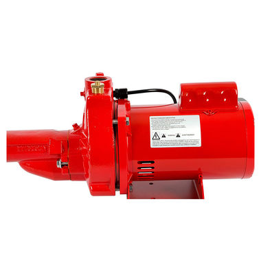 Click here to see Red Lion 602137 Red Lion Premium Cast Iron Convertible Jet Pump with Pressure Gauge, 3/4 HP, 115/230V, 16.2 GPM, 1