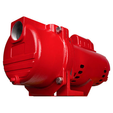 Click here to see Red Lion 97101001 Red Lion 1 HP Cast Iron Sprinkler Pump, 63 GPM, 45 PSI, 115/230 V, 25' Lift, 1-1/2