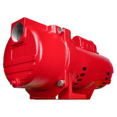 Click here to see Red Lion 97101502 Red Lion 1-1/2 HP Cast Iron Sprinkler Pump with Brass Impeller, 71 GPM, 41 PSI, 115/230 V, 25' Lift, 1-1/2