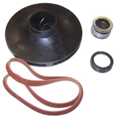Click here to see Red Lion 640161 Red Lion 640161 Overhaul Kit for RJC-100 Pump