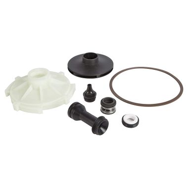 Click here to see Red Lion 305584007 Red Lion 305584007 Overhaul Kit for RJS-75-PREM Pump