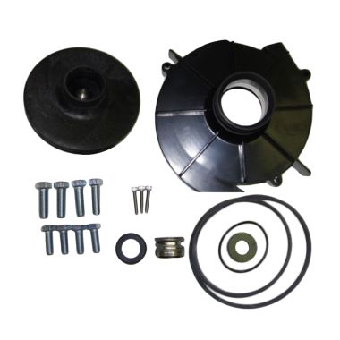 Click here to see Red Lion 640225 Red Lion 640225 Major Repair Kit for RLSP-100 Pump