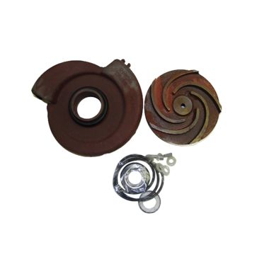 Click here to see Red Lion 617310 Red Lion 617310 Major Repair Kit for 2RLAG-1L Pump