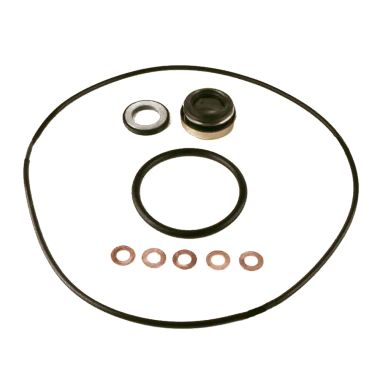 Click here to see Red Lion 617302 Red Lion 617302 Minor Repair Kit for 6RLAG-3LST Aluminum Semi Trash Pump