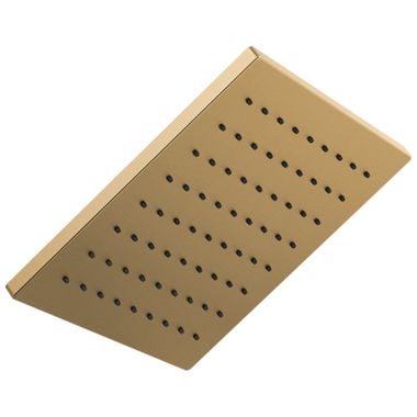 Click here to see Delta 52159-CZ Delta Universal Showering Components - Single-Setting Metal Raincan Shower Head, TouchClean, 1.75 GPM, Champagne Bronze - 52159-CZ