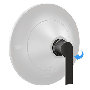 Click here to see Moen 190860BL Moen 190860BL Doux Moentrol Handle Kit, Matte Black