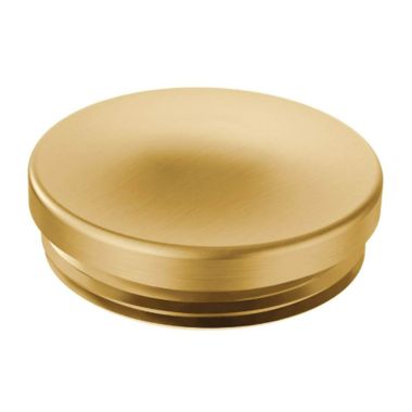 Click here to see Moen 130966BG Moen 130966BG Part Hinge Cap, Brushed Gold