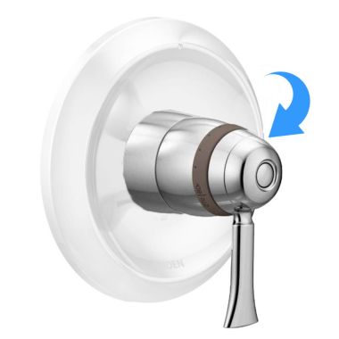 Click here to see Moen 193251 Moen 193251 Single-Handle Thermostatic Handle Kit