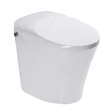 Click here to see Trone Plumbing NETBCERN-12.WH Trone Neodoro Smart Electronic White Bidet Toilet, Soft-Close Heated Seat, Night Light - NETBCERN-12.WH
