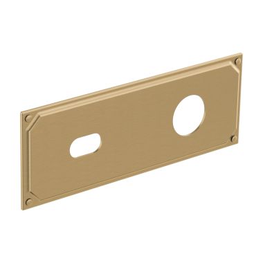 Click here to see Brizo RP100323GL Brizo Invari Wall-Mount Rectangular Lavatory Escutcheon Plate, Brilliance Luxe Gold - RP100323GL
