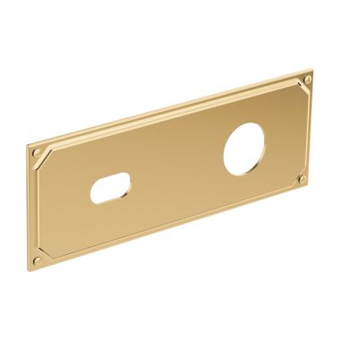 Click here to see Brizo RP100323PG Brizo Invari Wall-Mount Rectangular Lavatory Escutcheon Plate, Brilliance Polishsed Gold - RP100323PG