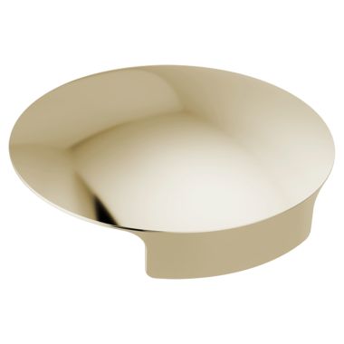 Click here to see Delta RP101289PN Delta RP101289PN Cover for Glass Rinser - Polished Nickel