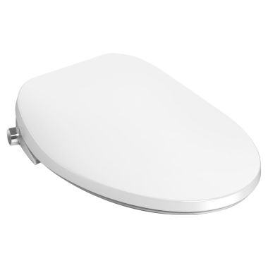 Click here to see American Standard 8019A60GPC.020 American Standard Aquawash Elongated Bidet Toilet Seat  - 8019A60GPC.020