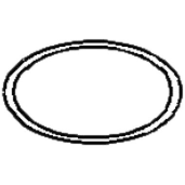 Click here to see Sloan 5337125 Sloan DO-2 O-ring-Seat For Dolphin Flushometer (5337125)