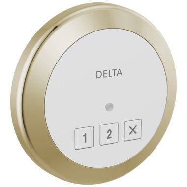Click here to see Delta 5CN-220R-PN-PR Delta SteamScape Classic System Exterior Steam Control with 4in Polished Nickel Trim Ring, Lumicoat Technology, 2-User Presets - 5CN-220R-PN-PR