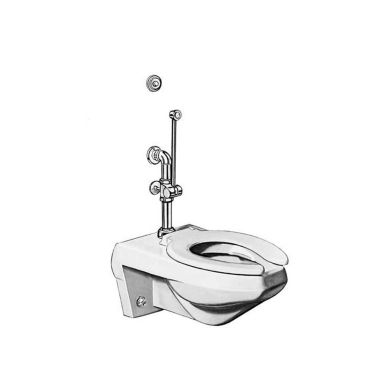 Click here to see Sloan 3017312 Sloan Royal BPW 1020-1.6-3-3/4-LDIM Exposed Manual Specialty Water Closet Bedpan Washer Flushometer (3017312)