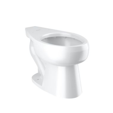 Click here to see Sloan 2102010 Sloan ST-2010-A Vitreous China Floor-Mounted ADA Water Closet, 1.28 gpf - White (2102010)