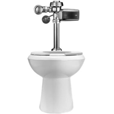 Click here to see Sloan 20001302 Sloan WETS-2000.1302 ST-2009 Water Closet and ROYAL 111 SMOOTH Flushometer (20001302)