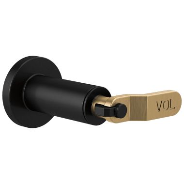 Click here to see Brizo T66634-BLSL Brizo Litze Sensori Volume Control Trim with Industrial Lever Handle, Matte Black/Brilliance Luxe Steel - T66634-BLSL