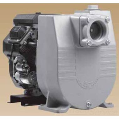 Click here to see Little Giant 607714 Little Giant Engine Driven Pump, 3-inch Discharge, 13 hp - MIG30-13HES