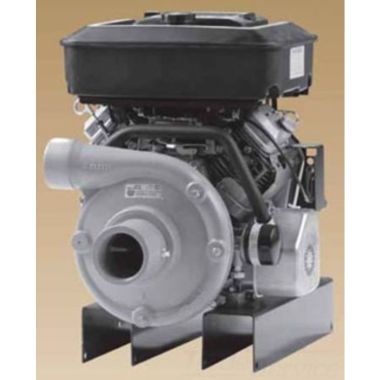 Click here to see Little Giant 614228 Little Giant 614228 NG2-1/2M9S-18V Engine Driven Pump
