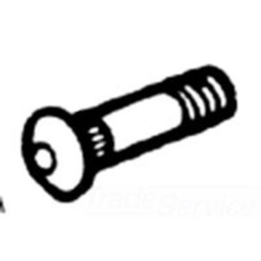 Click here to see Ridgid 40325 Ridgid 40325 Bolt, Hinge With Nut and Washer 21