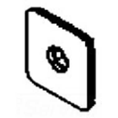 Click here to see Ridgid 54167 Ridgid 54167 Plate, Switch 1233