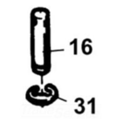Click here to see Ridgid 58850 Ridgid 58850 Package of 5 Rings