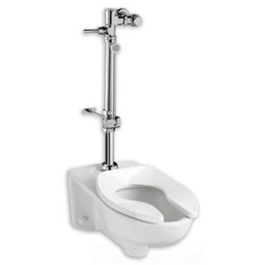 Click here to see American Standard 6047.861.002 American Standard 6047.861.002 Toilet Flush Valve 
