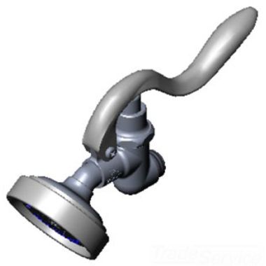 Click here to see T&S Brass 002853-40 T&S Brass 002853-40 Self-Closing Spray Valve with Spray Face