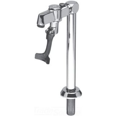 Click here to see T&S Brass 5GF-12P T&S Brass 5GF-12P Glass Filler