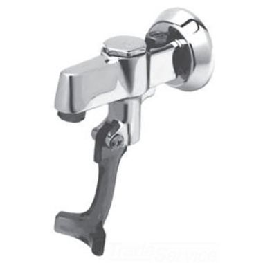 Click here to see T&S Brass 5GF-W-F T&S Brass 5GF-W-F Glass Filler