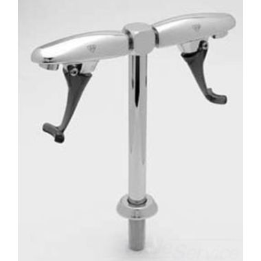 Click here to see T&S Brass B-1215-12 T&S Brass B-1215-12 Double Glass Filler