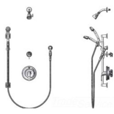 Click here to see T&S Brass B-3206-VB T&S Brass B-3206-VB Pressure-Balancing Shower Package