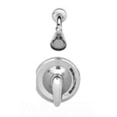 Click here to see T&S Brass B-3301 T&S Brass B-3301 Pressure-Balancing Shower Package